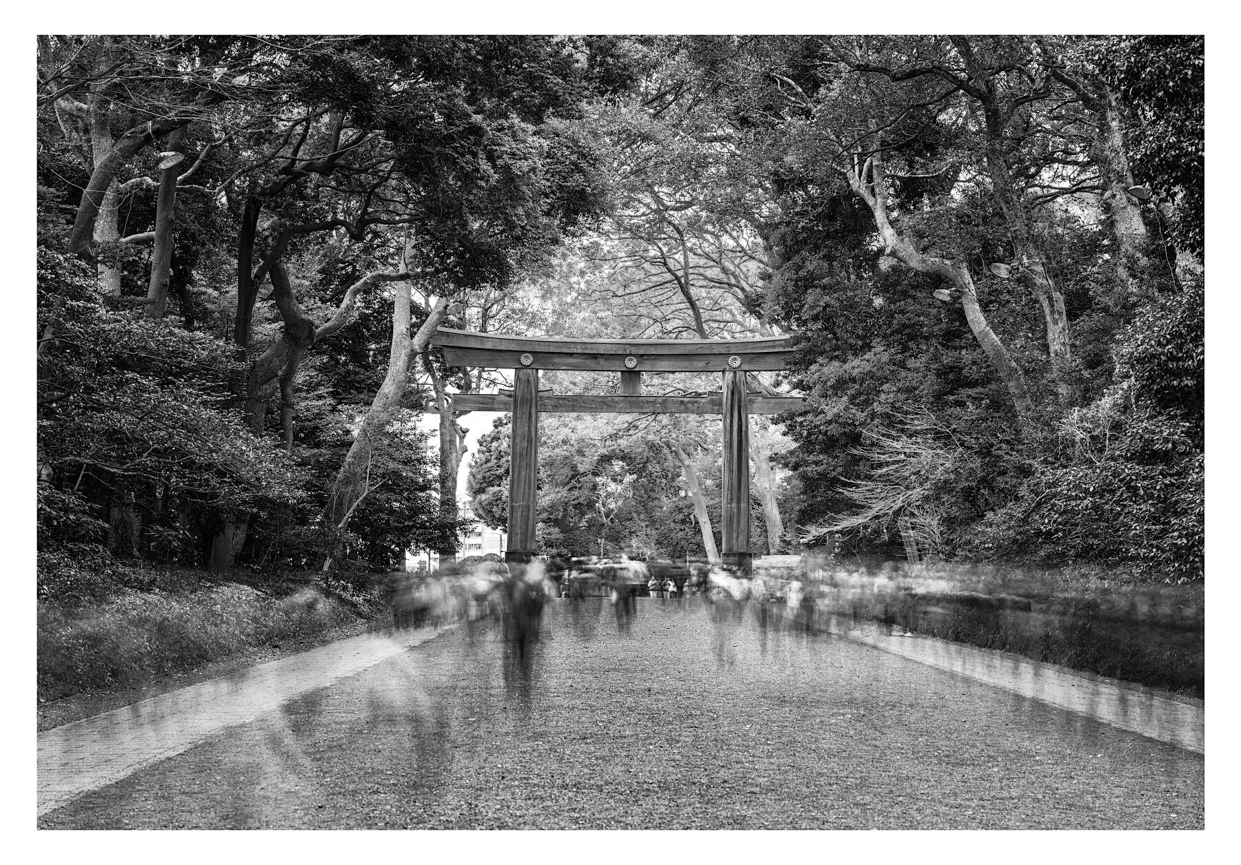 A Walk Through The Sacred